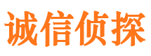 泗阳市私人调查